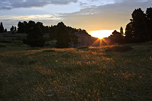 Ambiances du Vercors